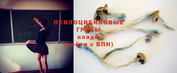 ECSTASY Бугульма