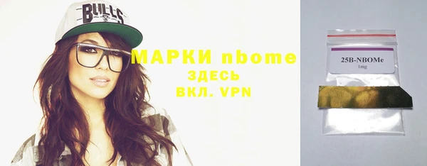2c-b Бородино