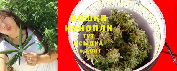 2c-b Бородино