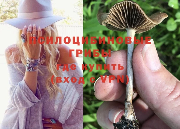 2c-b Бородино