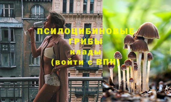 ECSTASY Бугульма