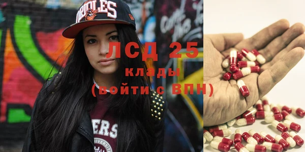 2c-b Бородино