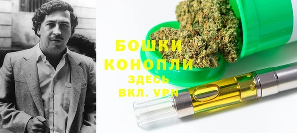 2c-b Бородино