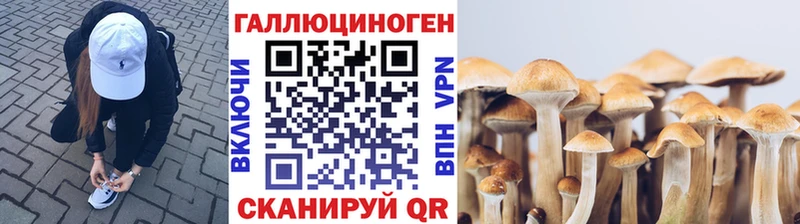 Псилоцибиновые грибы MAGIC MUSHROOMS  цена наркотик  Ялта 